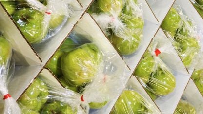 Close-up of green apples packed in clear plastic bags, neatly arranged inside cardboard boxes for storage or transport.